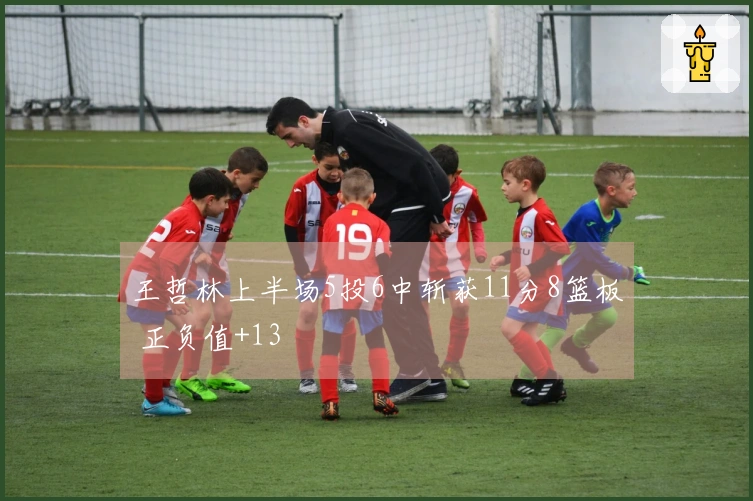 王哲林上半场5投6中斩获11分8篮板 正负值+13