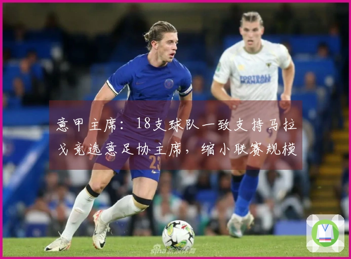 意甲主席：18支球队一致支持马拉戈竞选意足协主席，缩小联赛规模至关重要