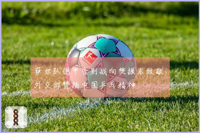 萨尔队德甲告别战向樊振东致敬，外交部赞扬中国乒乓精神