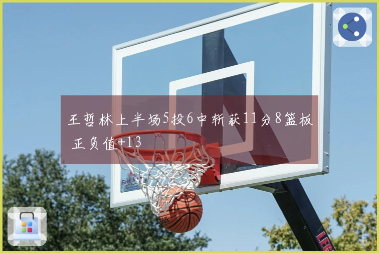 王哲林上半场5投6中斩获11分8篮板 正负值+13