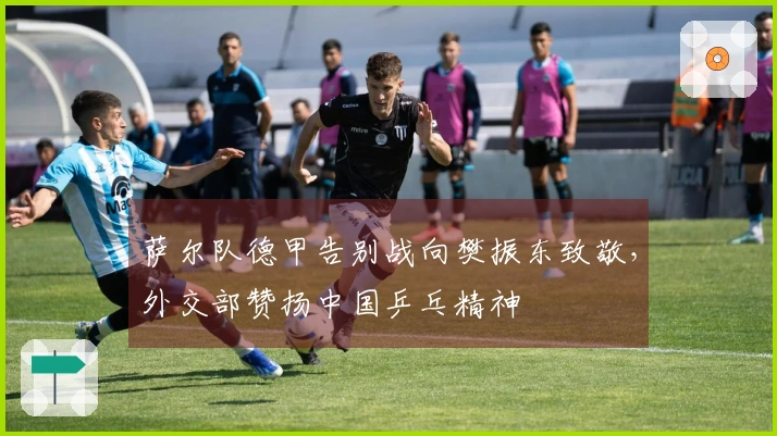 萨尔队德甲告别战向樊振东致敬，外交部赞扬中国乒乓精神